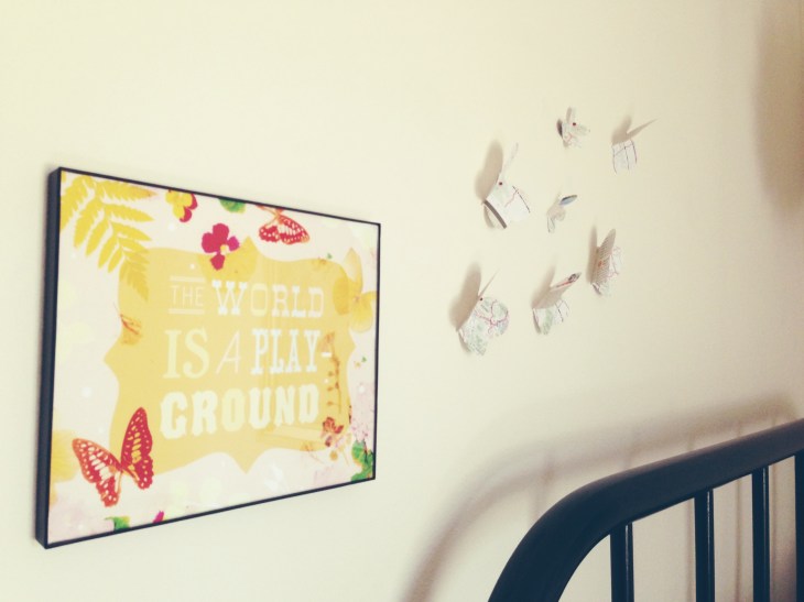 3-D Adventure Butterflies