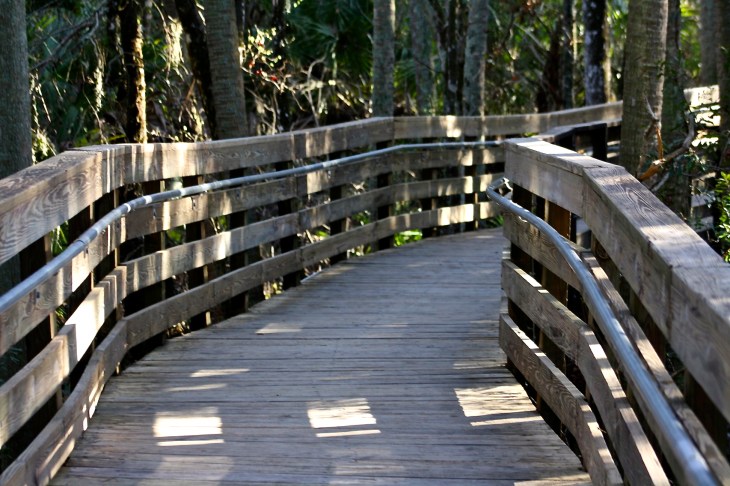 2008-12-27 03-59-15 - 0132