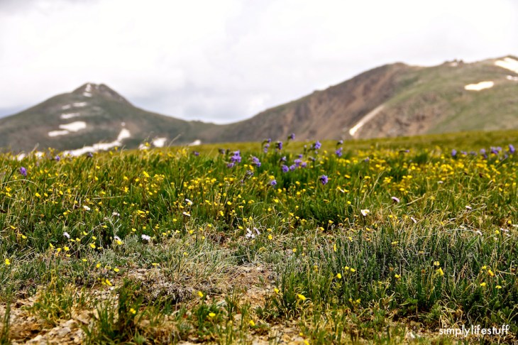 Independence Pass